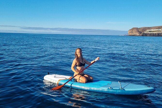 2-Hour Private Stand Up Paddle Activity - Questions and Assistance, Pricing Information