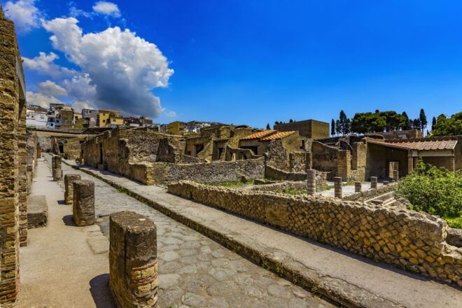 2-Hour Private Tour of the Ruins of Herculaneum - Inclusions