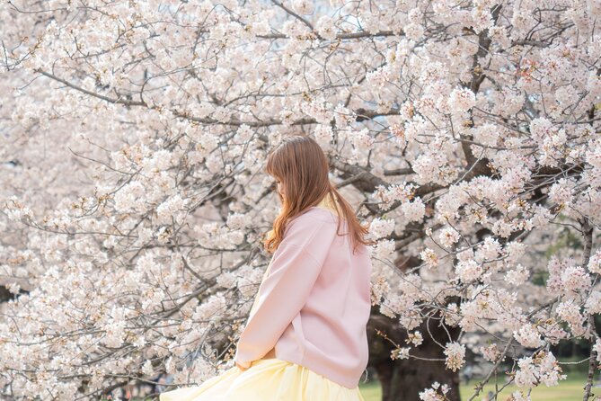 2 - Hour Private Walking Tokyo Photoshoot - Cancellation Policy for the Photoshoot
