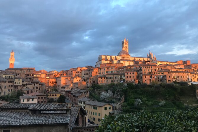 2 Hour Private Walking Tour in Siena With Local Guide - The Sum Up