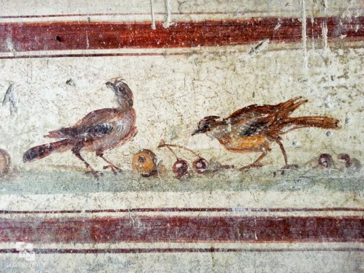 2-Hour Private Walking Tour of Pompeii - Experience Highlights