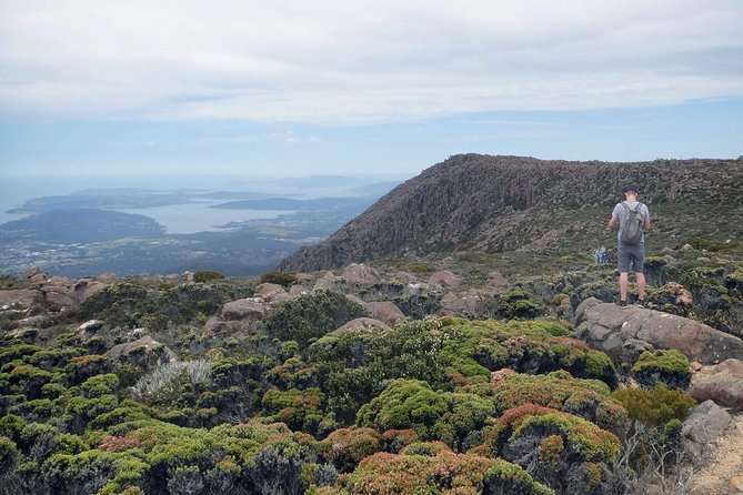 2-Hour Return Kunanyi/Mt Wellington Explorer Bus - Weather and Dress Code