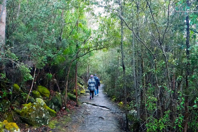 2-Hour Return Kunanyi/Mt Wellington Explorer Bus - Common Questions