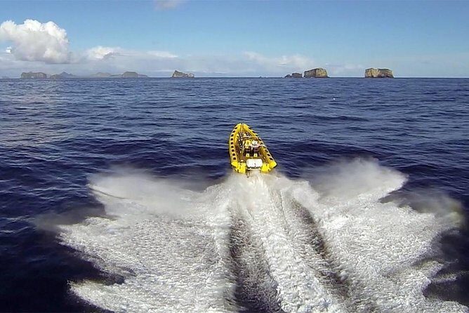 2 hour Round Trip in Vestmannaeyjar on a RIB Boat - Good To Know