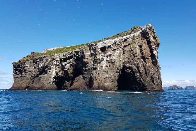 2 hour Round Trip in Vestmannaeyjar on a RIB Boat - The Sum Up