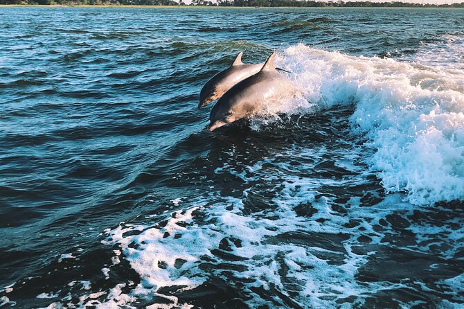 2-Hour Sailboat Watching Dolphins Along the Coast of Sotogrande - Common Questions