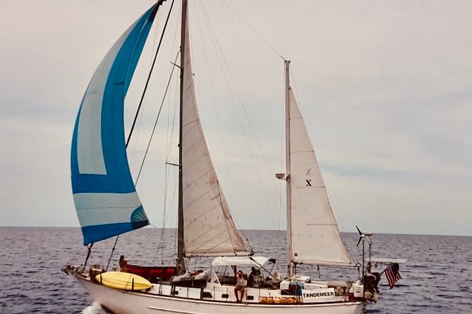 2 Hour Sailing and Snorkeling Tour on 60' Sailboat From Cruz Bay, St. John - Booking Confirmation and Cancellation Policy