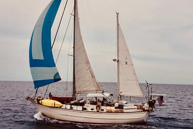 2 Hour Sailing Tour of Vineyard Haven Harbor and Sound - Tour Information