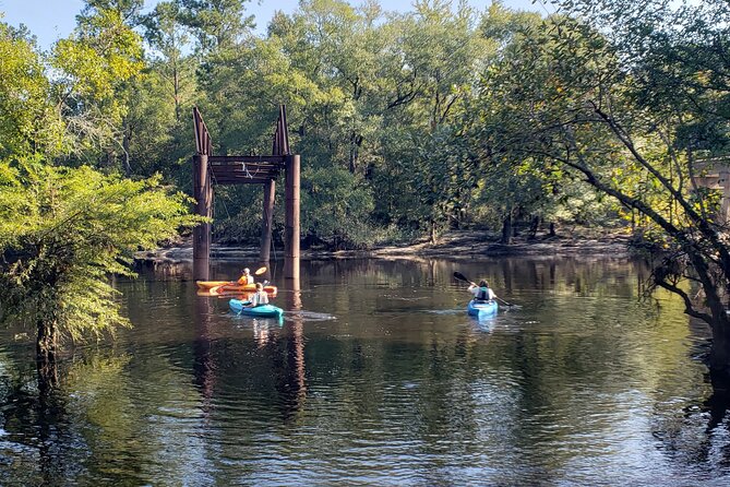 2 Hour Satilla River Kayak Tour in Waycross - Overview and Booking Details