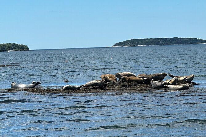 2 Hour Scenic Powerboat Cruise Experience Portland's Waterfront - FAQs