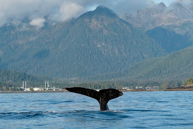 2 Hour Sitka Private Charter Sunset Cruise - Who Should Consider This Experience?
