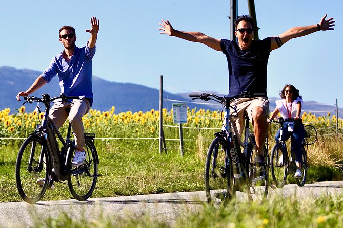 2-Hour Small-Group Bike Guided Tour in Geneva - Tour Overview