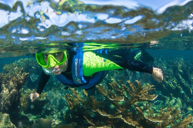 2-Hour Snorkeling Paradise Reef in Cancún Underwater Museum - Exploring the Underwater Museum