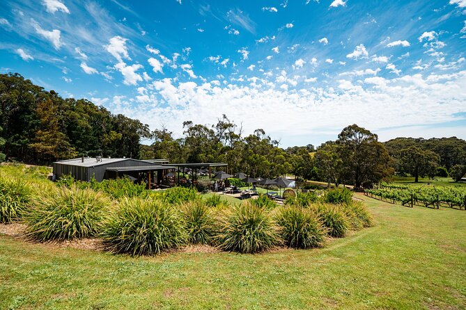 2-Hour Sparkling Brunch on the Mornington Peninsula - Memorable Moments: Capture the Essence of the Mornington Peninsula