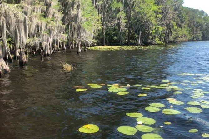 2-Hour Stand up Paddleboard Rental From Lake Buena Vista Area - Directions to Lake Bryan
