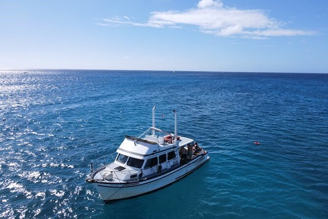 2-Hour Sunset Cruise in Honolulu - Overview of the 2-Hour Sunset Cruise