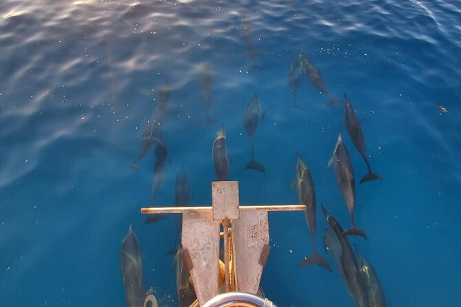 2-Hour Sunset Cruise in Honolulu - Cruise Along the Coast to Diamond Head Crater