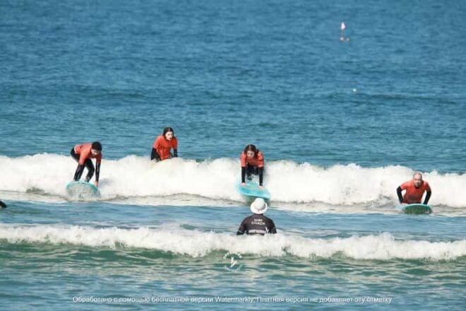 2-Hour Surfing Lesson on Praia Da Barra + Transfer - Gear and Facilities
