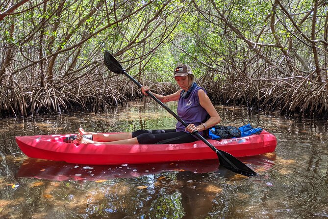 2 Hour Tandem Kayak Tour (Price for 2 People) - Meeting and End Point Information