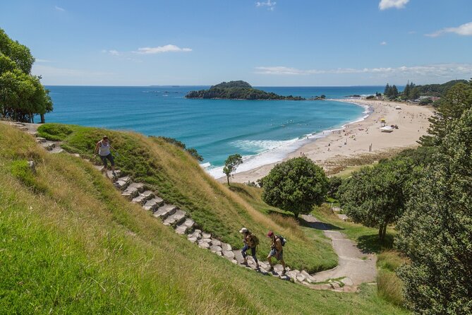 2-Hour Tauranga and Mount Maunganui Minibus Private Tour - Pricing and Booking Information