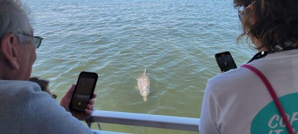 2 Hour Tiki Dolphin Sightseeing Tour in Cocoa Beach - Getting There