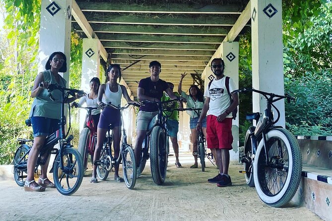 2 Hour Tour Discover Seville Like a Local on an ELECTRIC BIKE - Tour Details