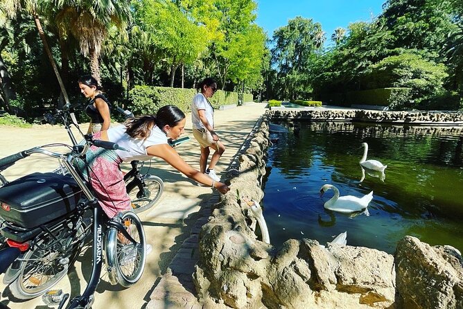 2 Hour Tour Discover Seville Like a Local on an ELECTRIC BIKE - Meeting and Pickup