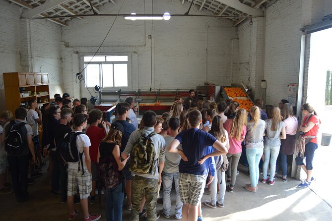 2-Hour Tour Through the Stately Orchard With Orange Tasting - Inclusions