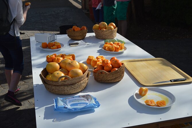 2-Hour Tour Through the Stately Orchard With Orange Tasting - Cancellation Policy