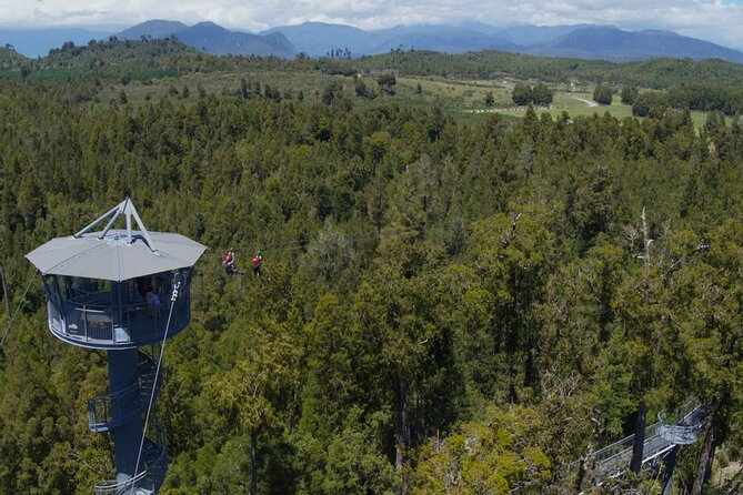 2-Hour Tower Zipline and Walkway Combo Private Guided Activity - Activity Expectations