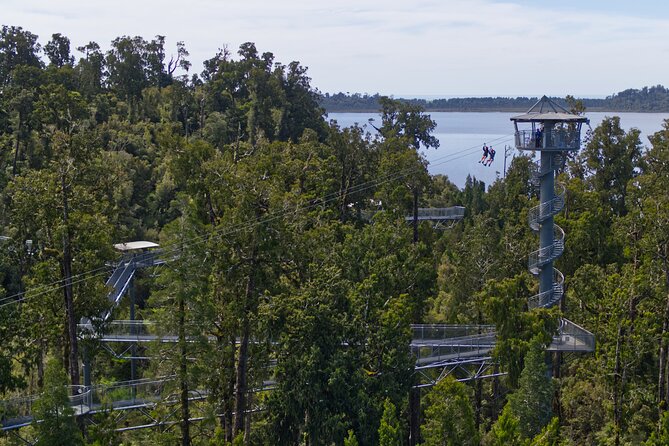 2-Hour Tower Zipline and Walkway Combo Private Guided Activity - Cancellation Policy