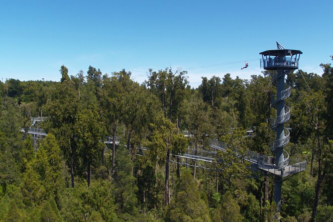 2-Hour Tower Zipline and Walkway Combo Private Guided Activity - Common Questions