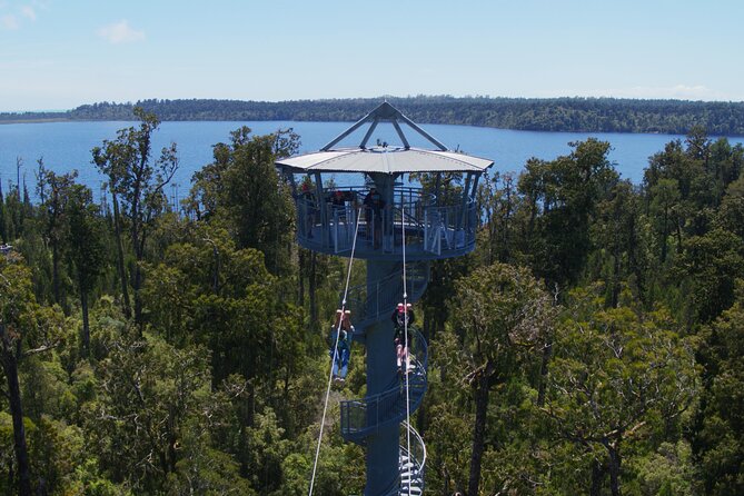 2-Hour Tower Zipline and Walkway Combo Private Guided Activity - The Sum Up