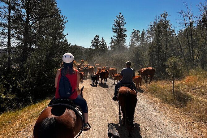 2 Hour Trail Ride in Montana Ranch Country - Good To Know