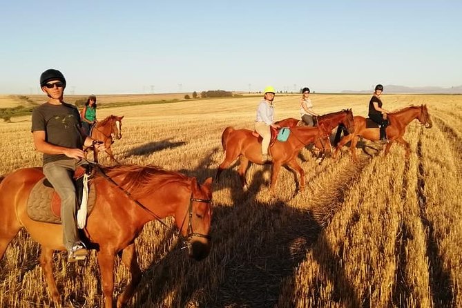 2 Hour Vineyard Trail Ride - Booking and Flexibility