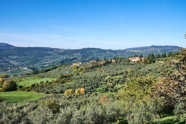 2-hour Vintage Fiat 500 tour with Olive Oil Tasting at Farm - Who Should Book This Tour?