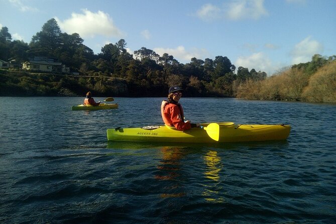 2-Hour Waikato River Guided Kayak Trip From Taupo - Common Questions