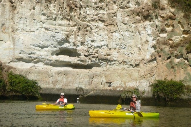 2-Hour Waikato River Guided Kayak Trip From Taupo - The Sum Up