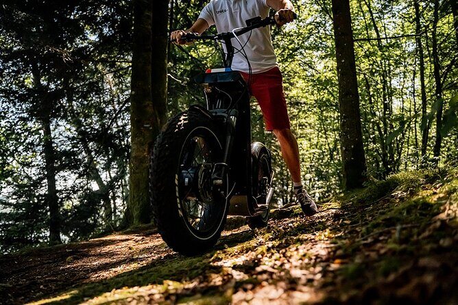 2-hour walk - Castles and vineyards - What the Tour Entails: A Deep Dive into the Itinerary