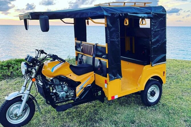 2 Hour West End Tour by Tuk Tuk - Pricing Information