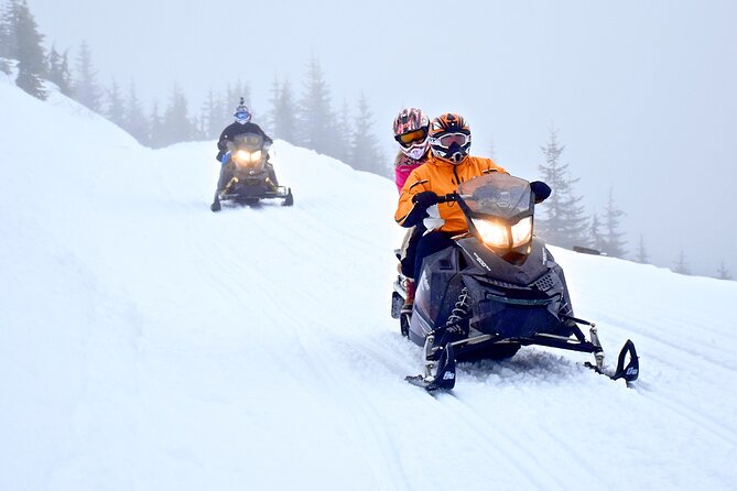 2 Hour Wilderness Adventure Snowmobile Tour - Pricing and Affordability