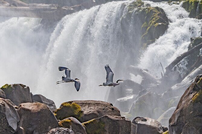 2-Hour Wildlife & Nature River Cruise on the Beautiful Willamette - Intro: A Relaxed Glimpse of Portland’s Natural Charm