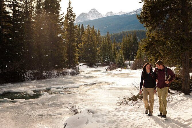 2 Hour Winter Wilderness Walk with Wildlife Tracking - The Value of a Wildlife Tracking Walk in Banff