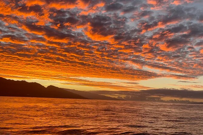2 Hours 30 Minutes Whale Watch And/Or Scenic Tour - Cancellation Policy and Refunds
