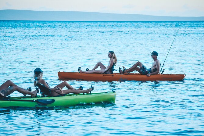 2 Hours 30 Minutes Whale Watch And/Or Scenic Tour - Reviews and Ratings