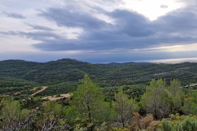 2-Hours 4X4 Tour in Spetses Safari - The Sum Up