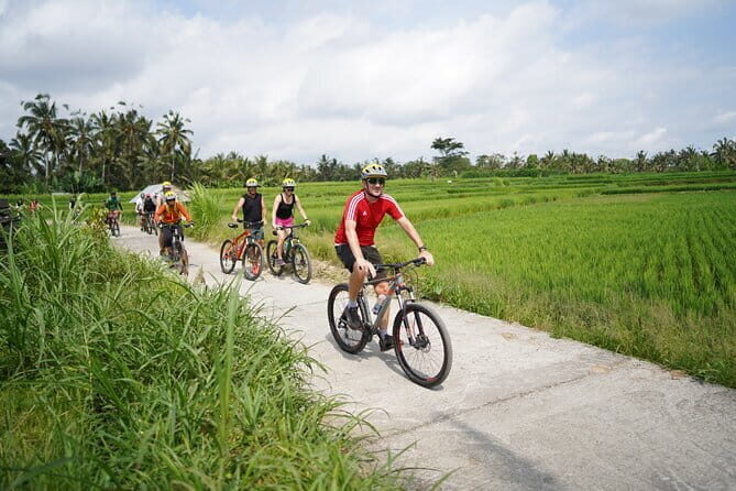 2 Hours ATV Quad Adventure Trekking in Bali - Who Will Love This Tour?