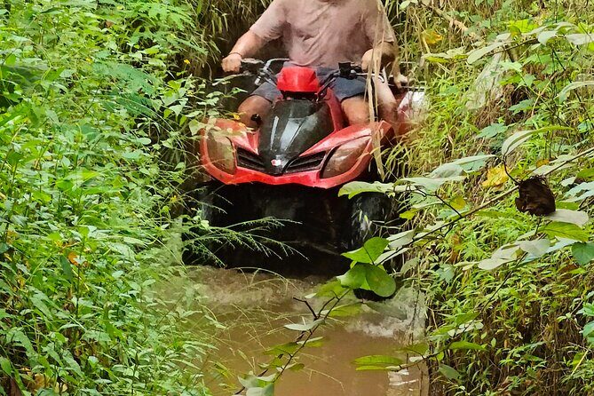 2 Hours Bali ATV Ride with Lunch Experience - Who Will Love This Experience?