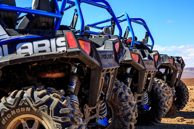 2 Hours Buggy in Palmeraie Marrakech - Cancellation Policy