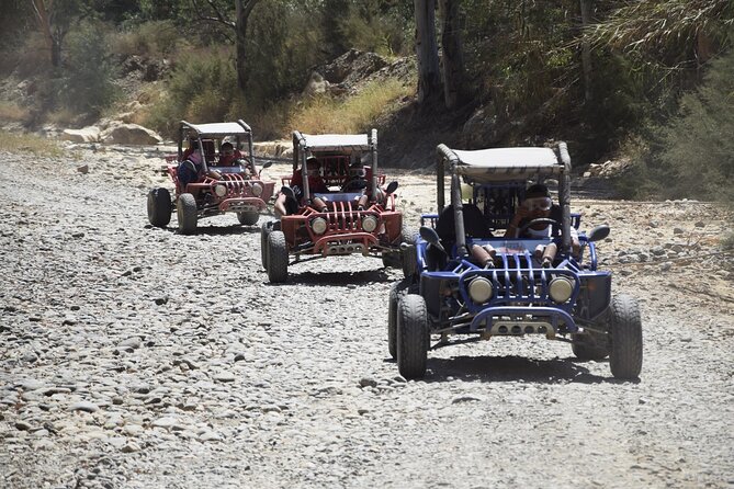 2 Hours Buggy Safari Experience in the Mountains of Mijas With Guide - Additional Information and Recommendations